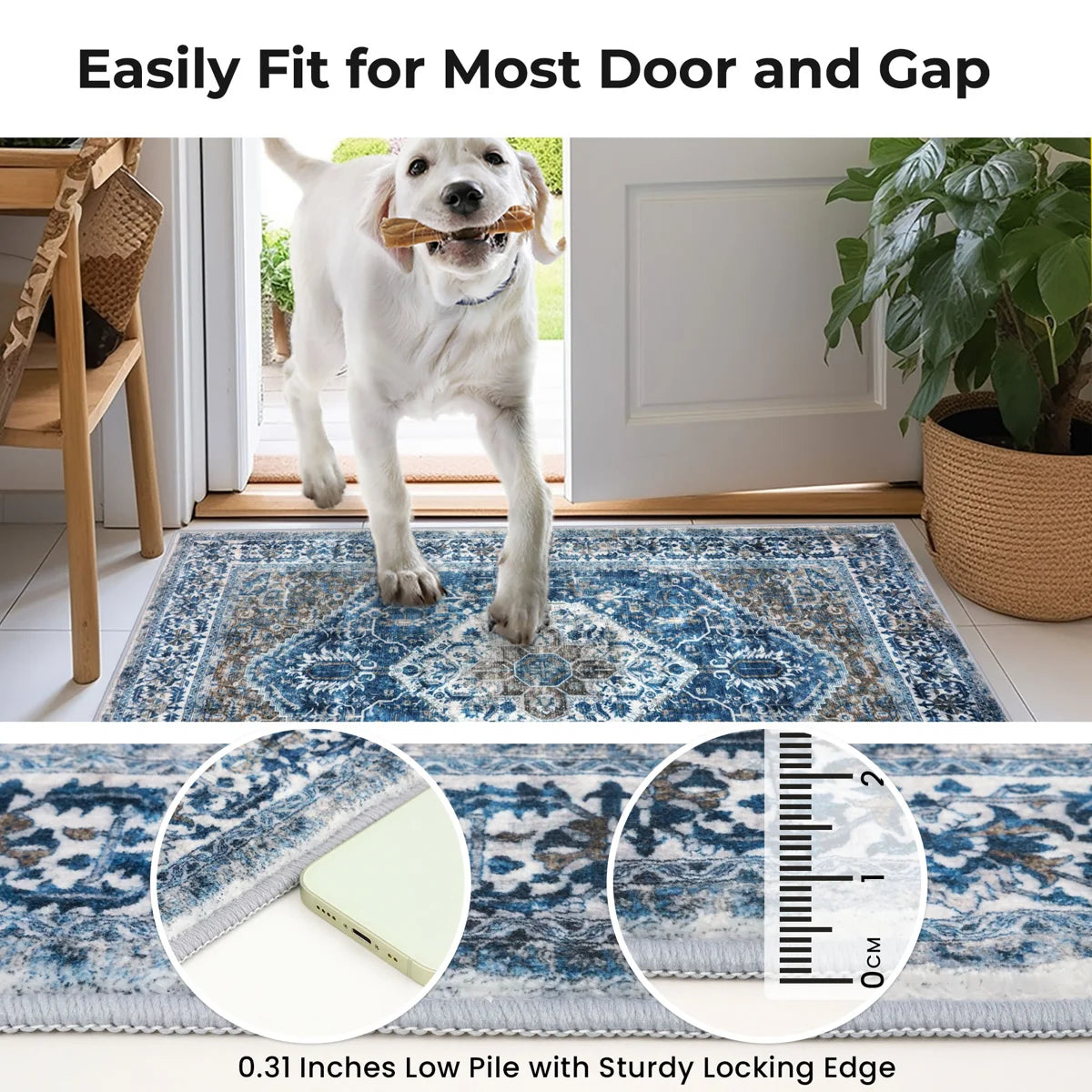 Jodhveer Area Rug Washable Rug Non-Slip Backing Indoor Rugs